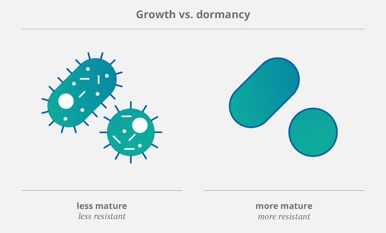 Growth-Vs-Dormancy